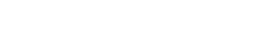 Bear Box Doctor Logo